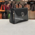 13807 SILVER / BLACK